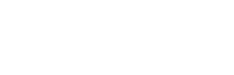Aeternasteels